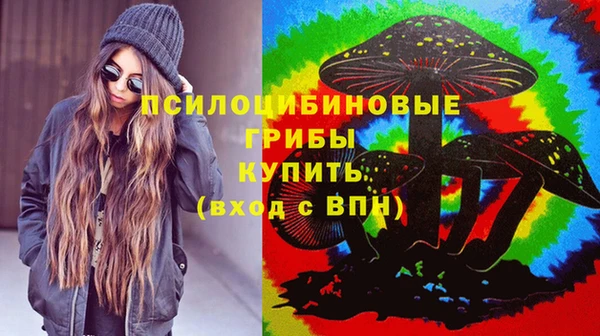 шишки Балахна