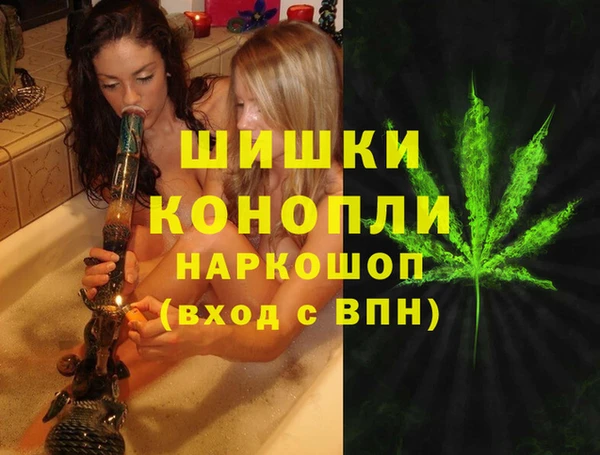 шишки Балахна