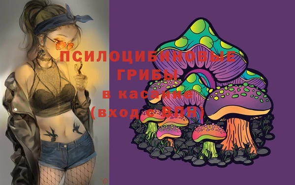 шишки Балахна
